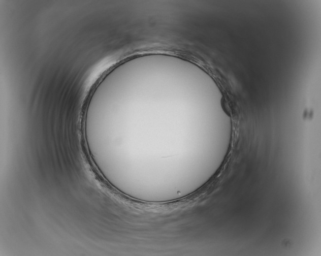 X0000111000006200906191155