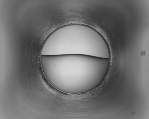 X0000111000009200906191155