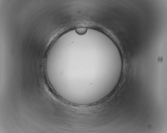 X0000111000010200906191155