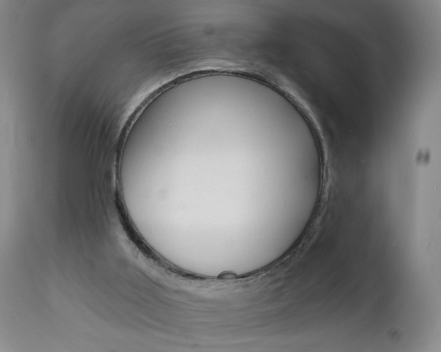 X0000111000011200906191155