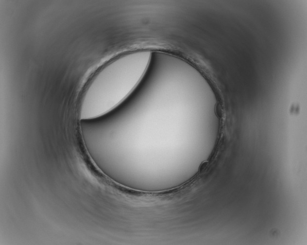 X0000111000012200906191155