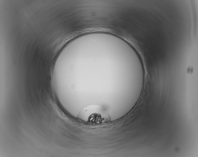 X0000111000013200906191155