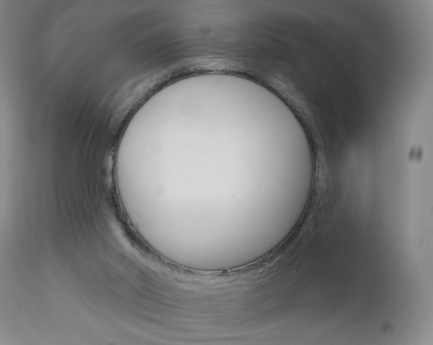 X0000111000014200906191155