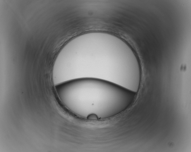 X0000111000017200906191155