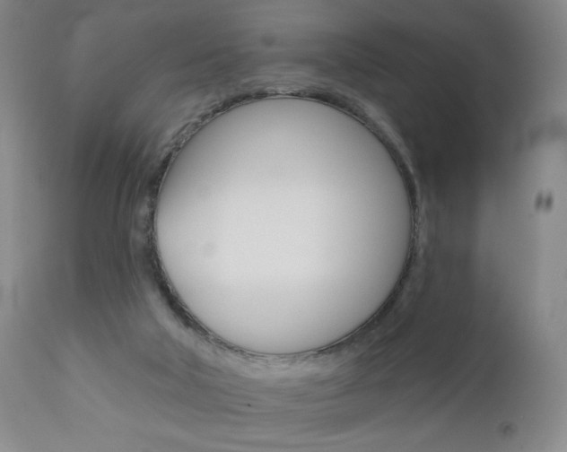 X0000111000018200906191155