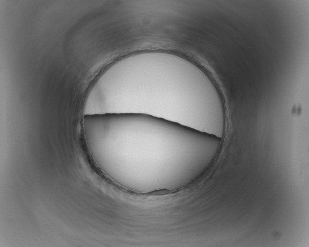 X0000111000019200906191155