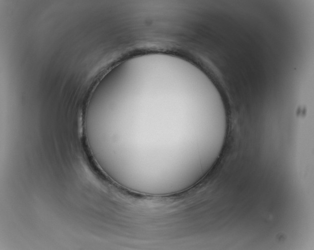 X0000111000020200906191155