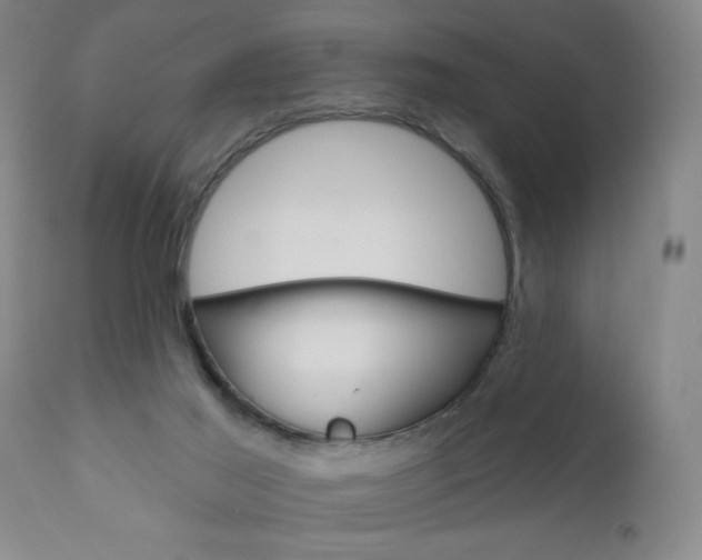 X0000111000021200906191155