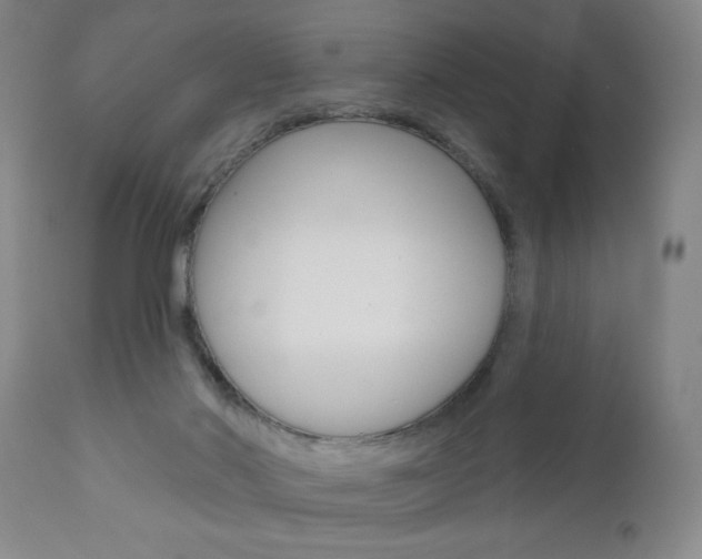 X0000111000022200906191155
