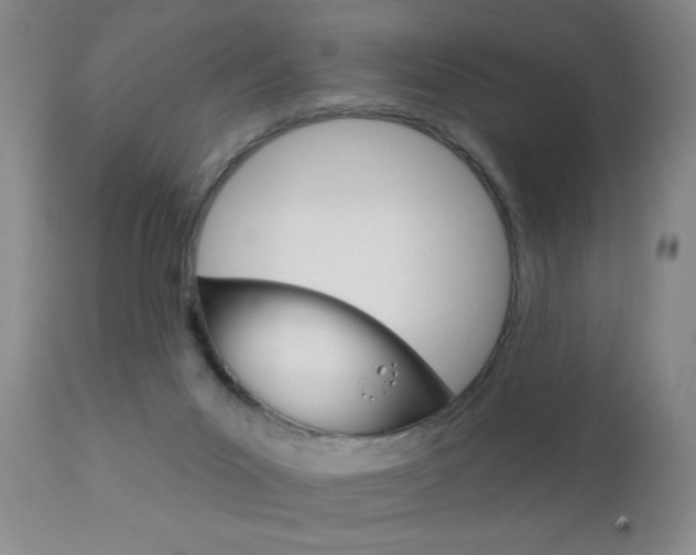 X0000111000023200906191155