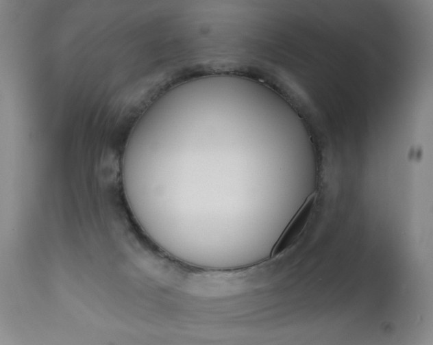 X0000111000025200906191155