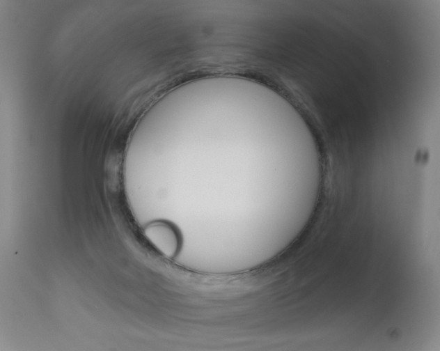 X0000111000026200906191154