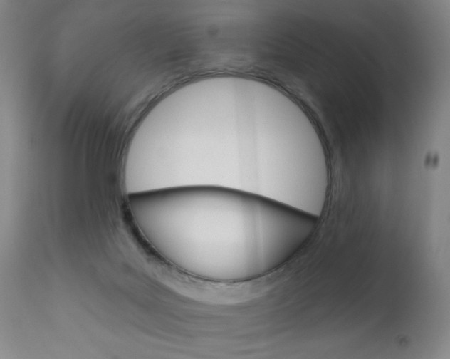 X0000111000027200906191154