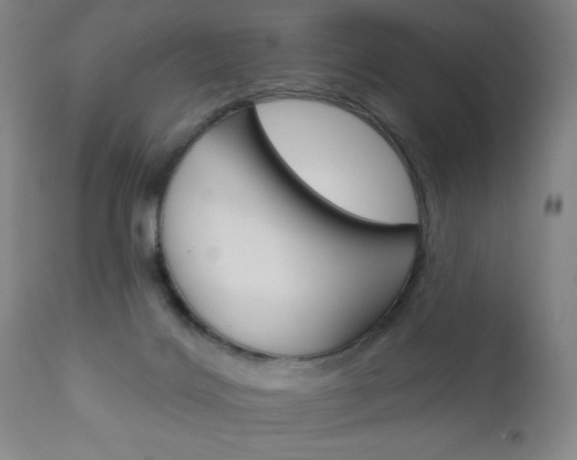 X0000111000028200906191154