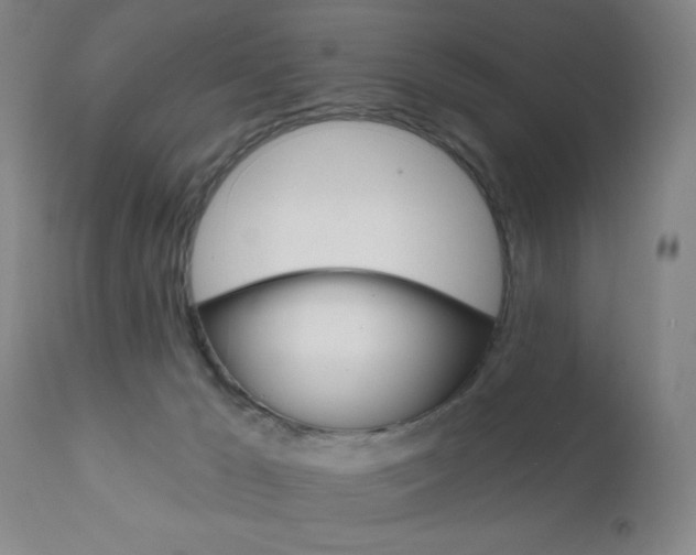 X0000111000029200906191154