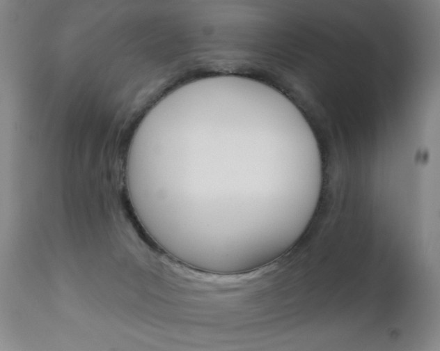 X0000111000031200906191154