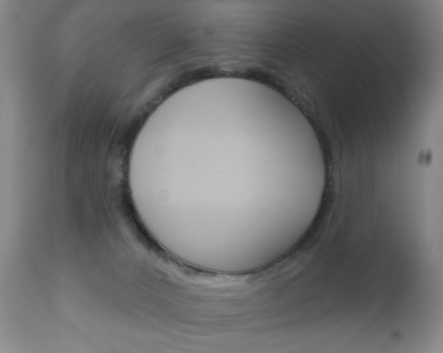 X0000111000032200906191154