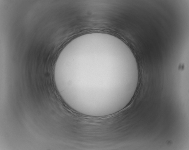 X0000111000033200906191154