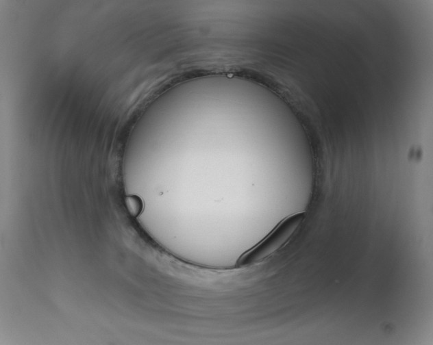 X0000111000035200906191154