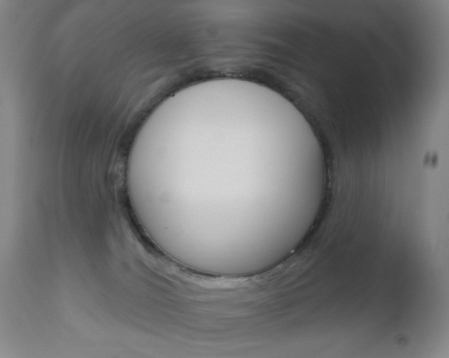 X0000111000036200906191154