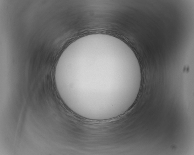 X0000111000037200906191154