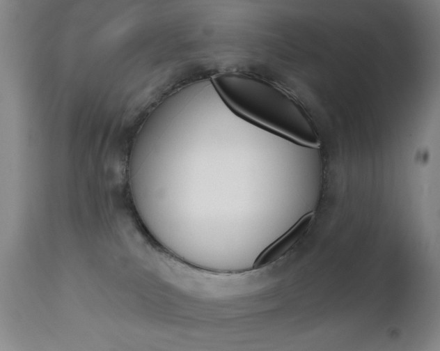 X0000111000039200906191154