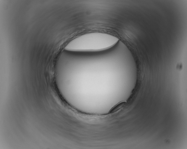 X0000111000040200906191154