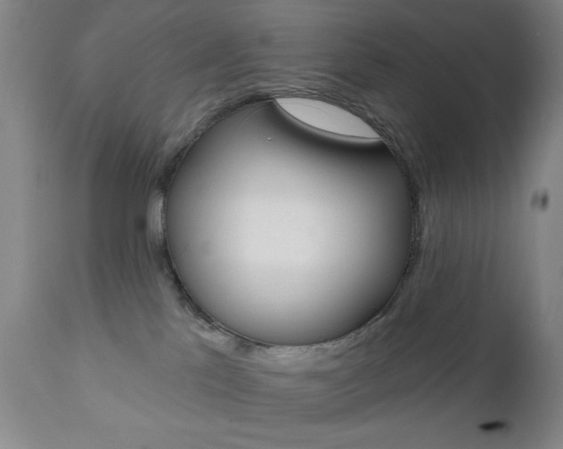 X0000111000041200906191154