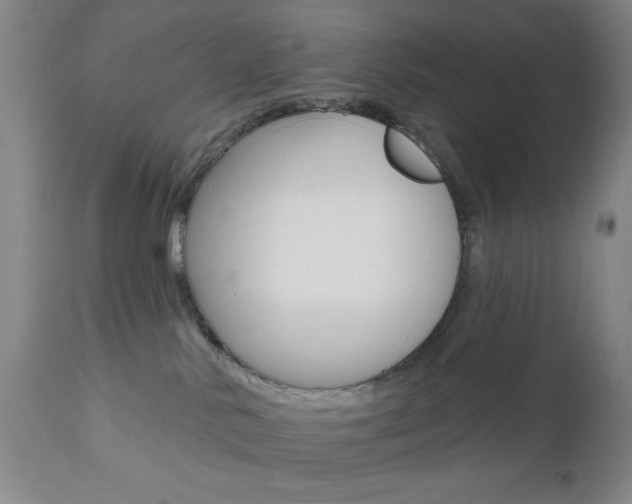 X0000111000042200906191154