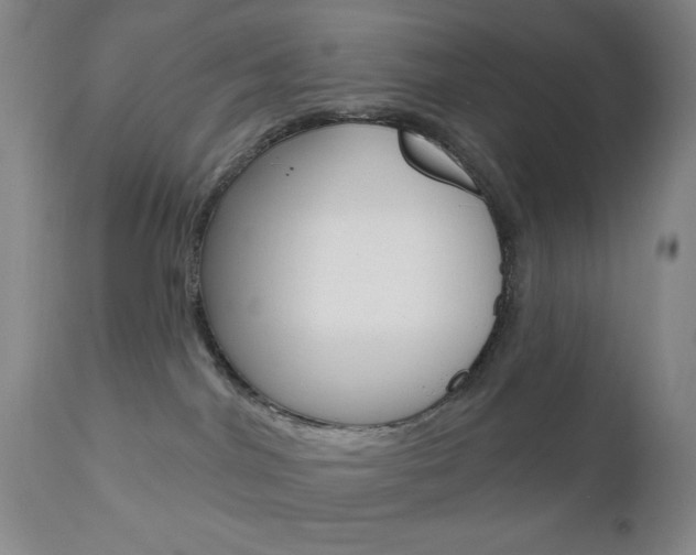 X0000111000044200906191154