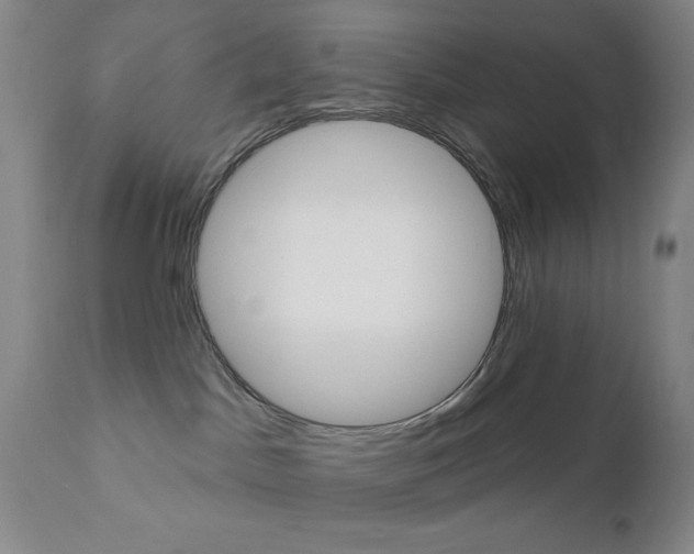 X0000111000045200906191154