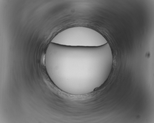 X0000111000046200906191154