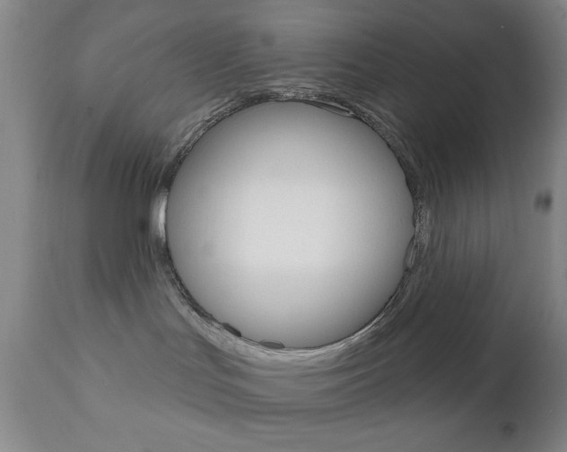 X0000111000047200906191154