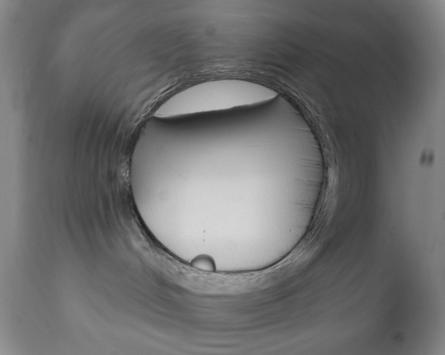 X0000111000048200906191154