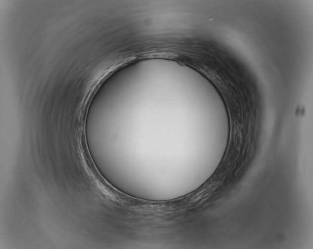 X0000111000049200906191153