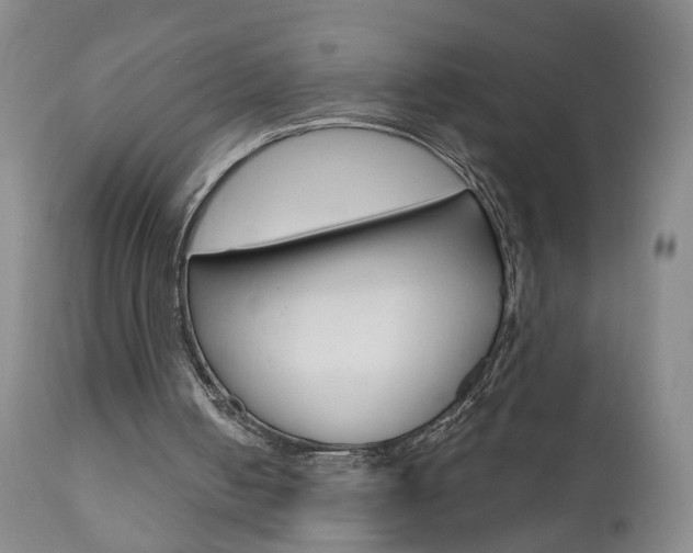 X0000111000050200906191153