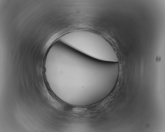 X0000111000051200906191153