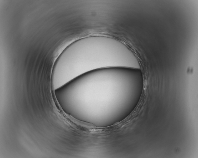 X0000111000052200906191153