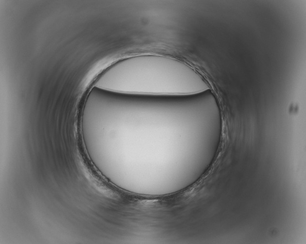 X0000111000054200906191153