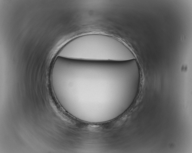 X0000111000055200906191153