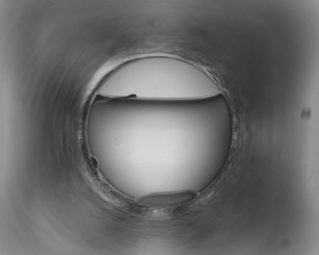 X0000111000056200906191153