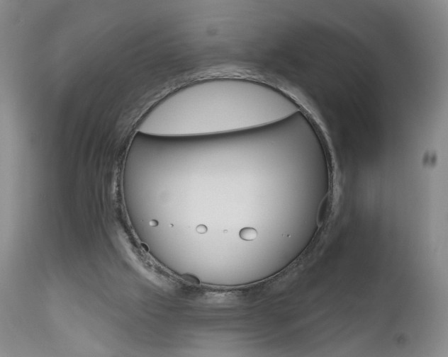 X0000111000057200906191153