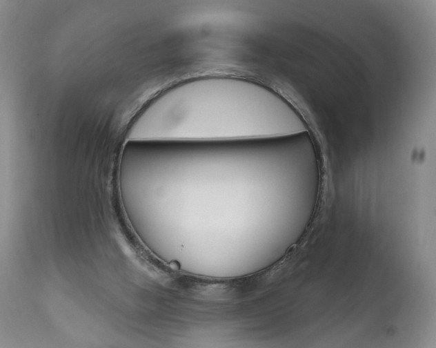 X0000111000058200906191153