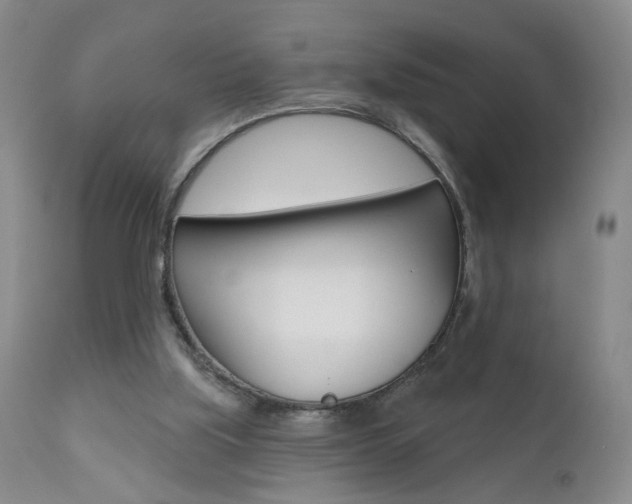 X0000111000059200906191153
