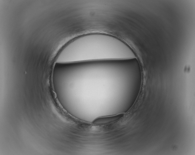 X0000111000060200906191153