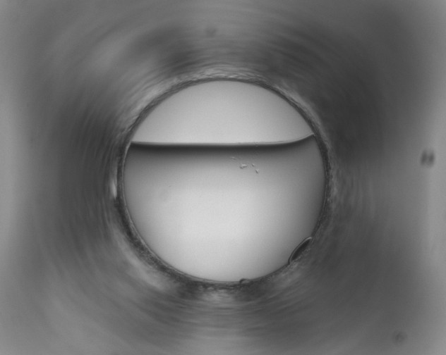 X0000111000062200906191153