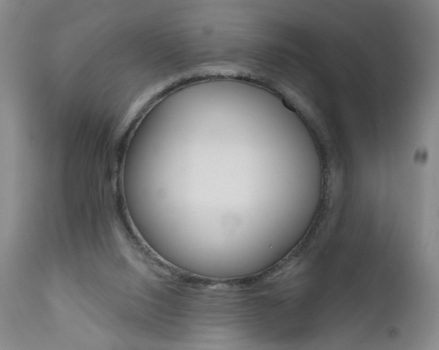 X0000111000064200906191154