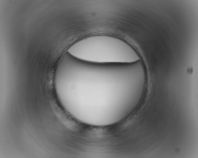 X0000111000065200906191154
