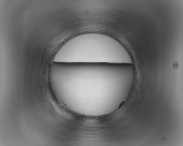 X0000111000066200906191154