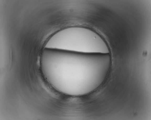 X0000111000067200906191154